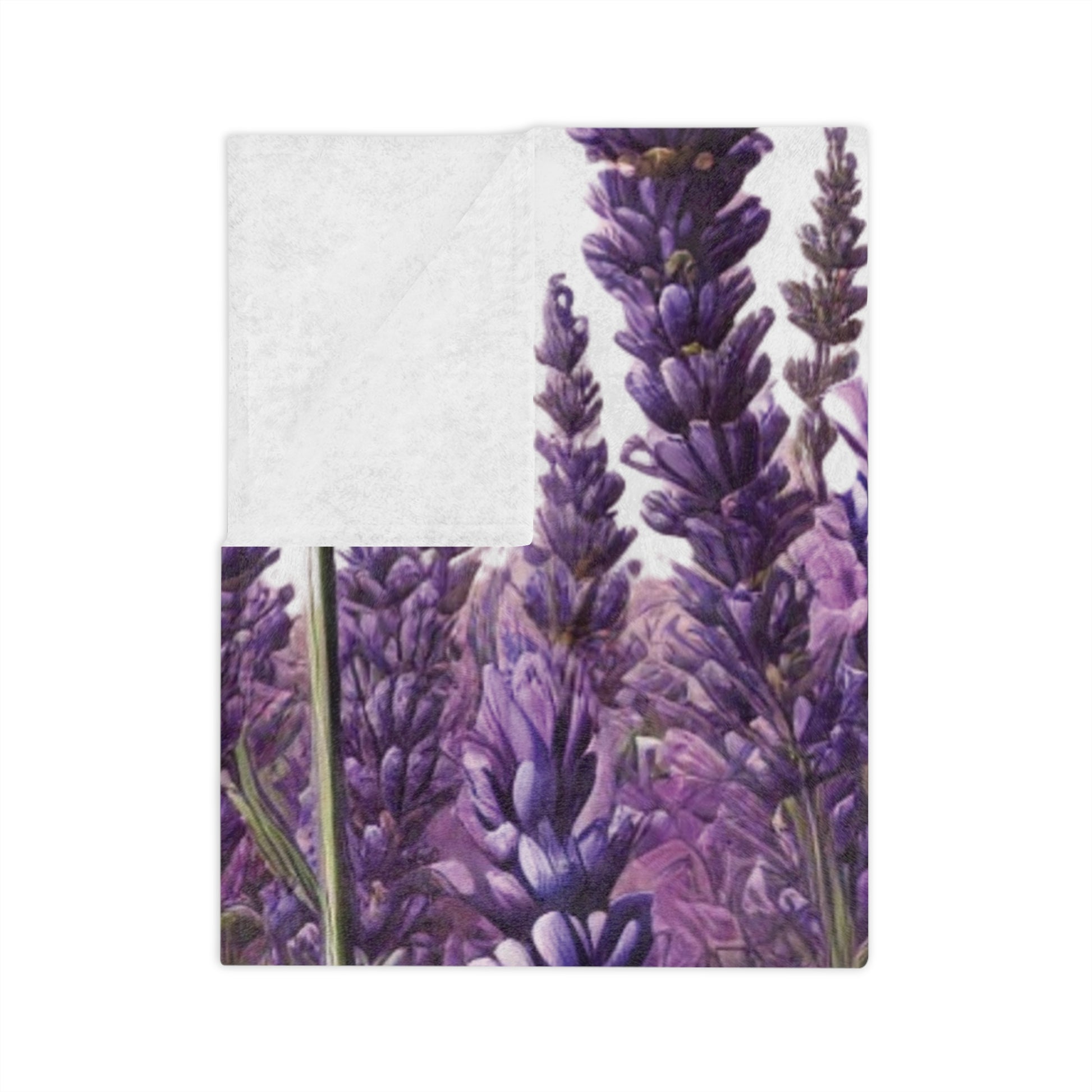Wildflowers Lavender Bright Colors Minky Blanket Throw Ultra-Soft Minky Blanket Cozy Comfort Blanket Elegant Home Decor Plush Microfiber for Maximum Comfort Blanket, Perfect for Snuggling Decor, Cozy All-Season Warmth, Housewarming Gift Throw