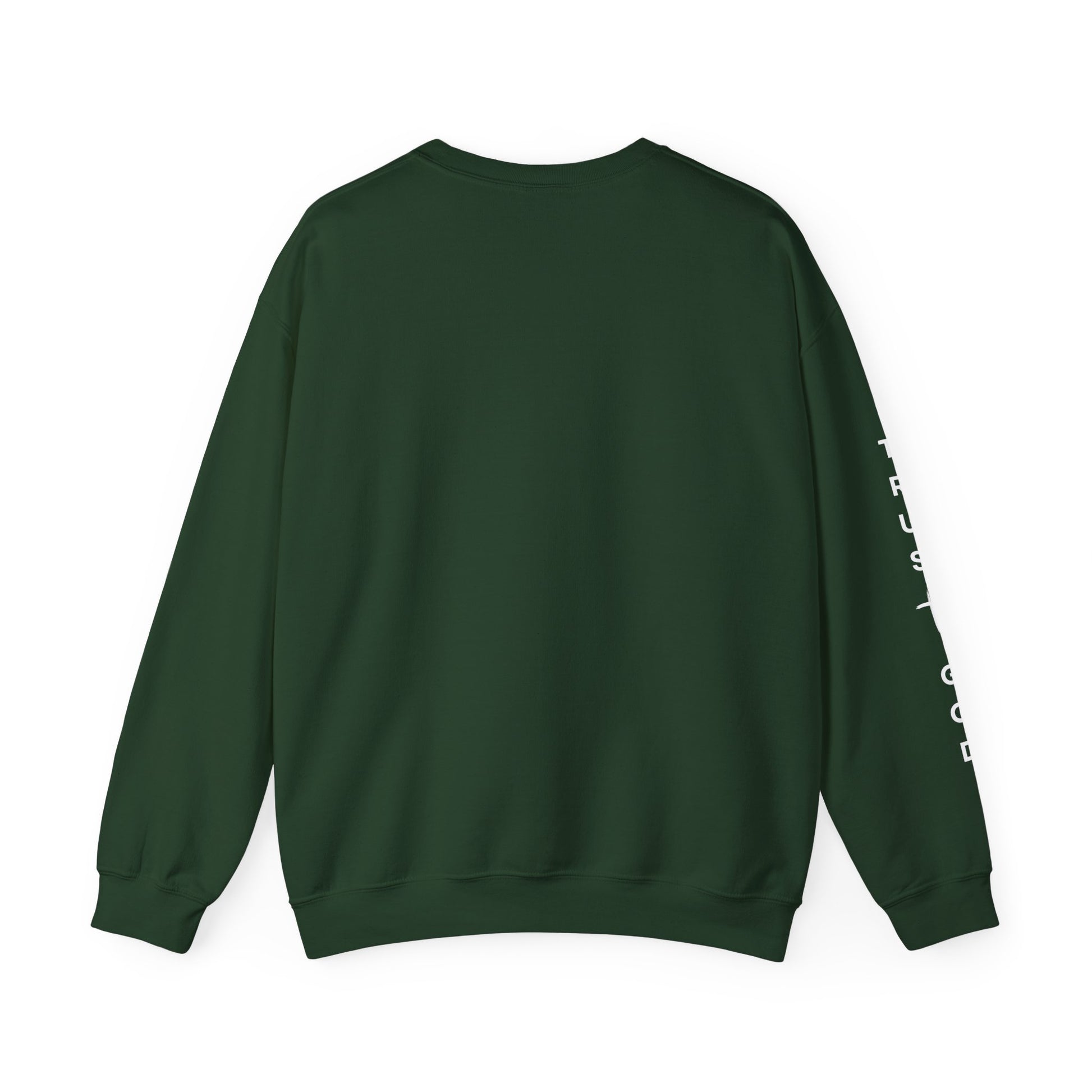 Inspirational Quote Sweatshirt, Unisex Crewneck, Faith Apparel, Perfect Gift for Christians, Cozy Everyday Wear, Bible Verse Design